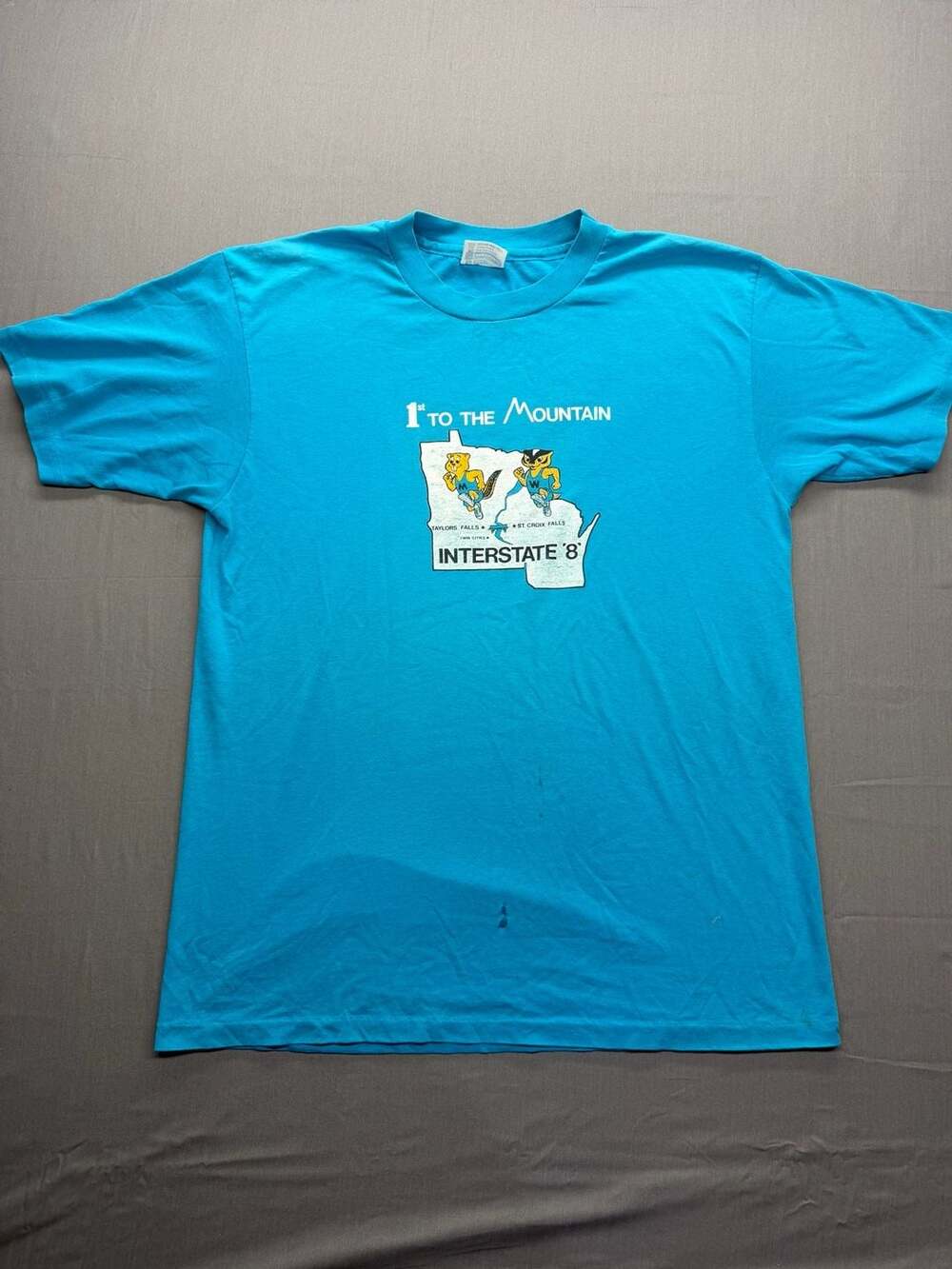 Hanes 1st To The Mountain Interstate 8 Graphic T-Shirt Size L Blue Vintage